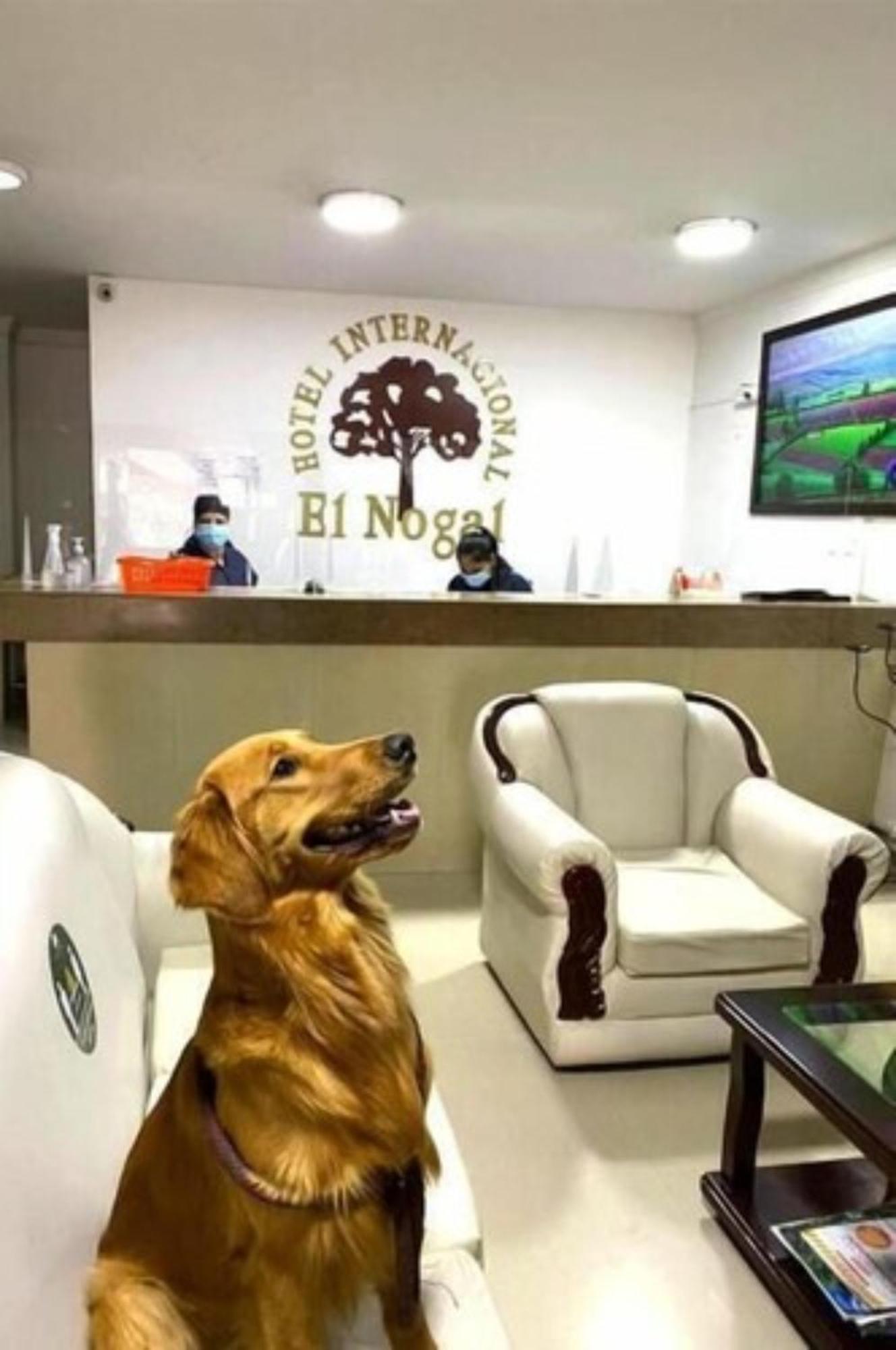 Internacional El Nogal Ipiales Hotell Eksteriør bilde